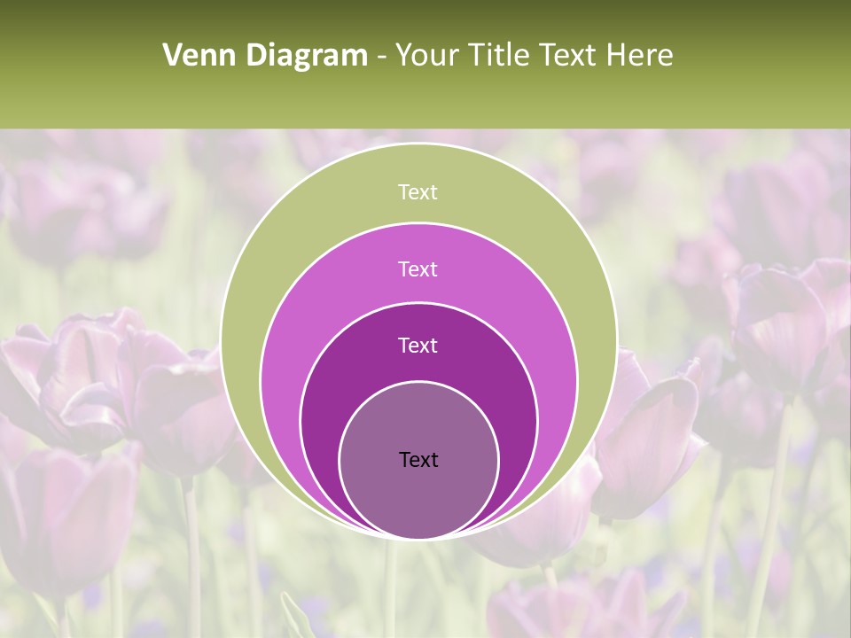 Flower Field Park PowerPoint Template