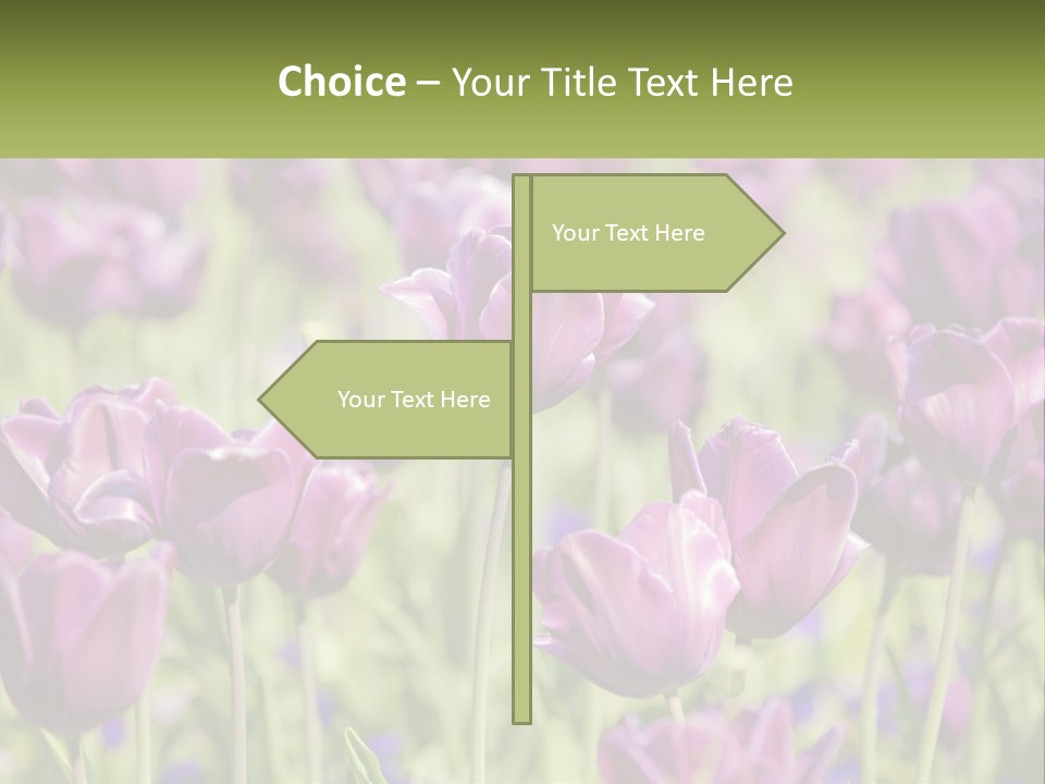 Flower Field Park PowerPoint Template