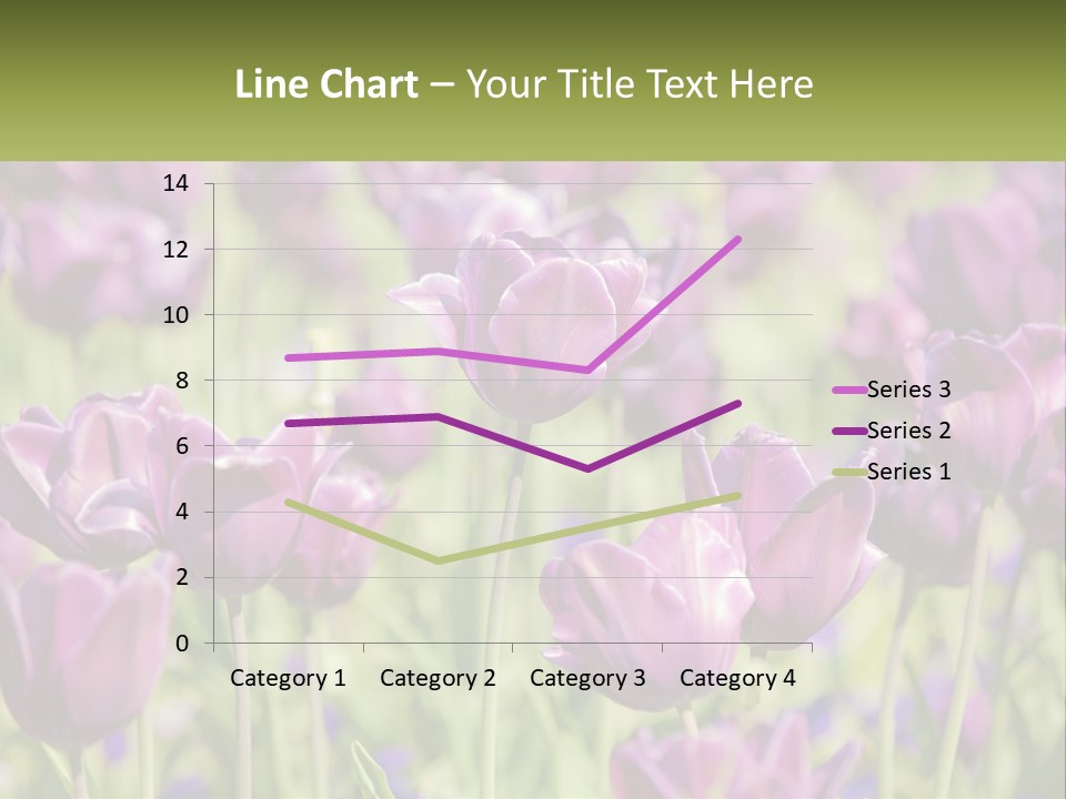 Flower Field Park PowerPoint Template