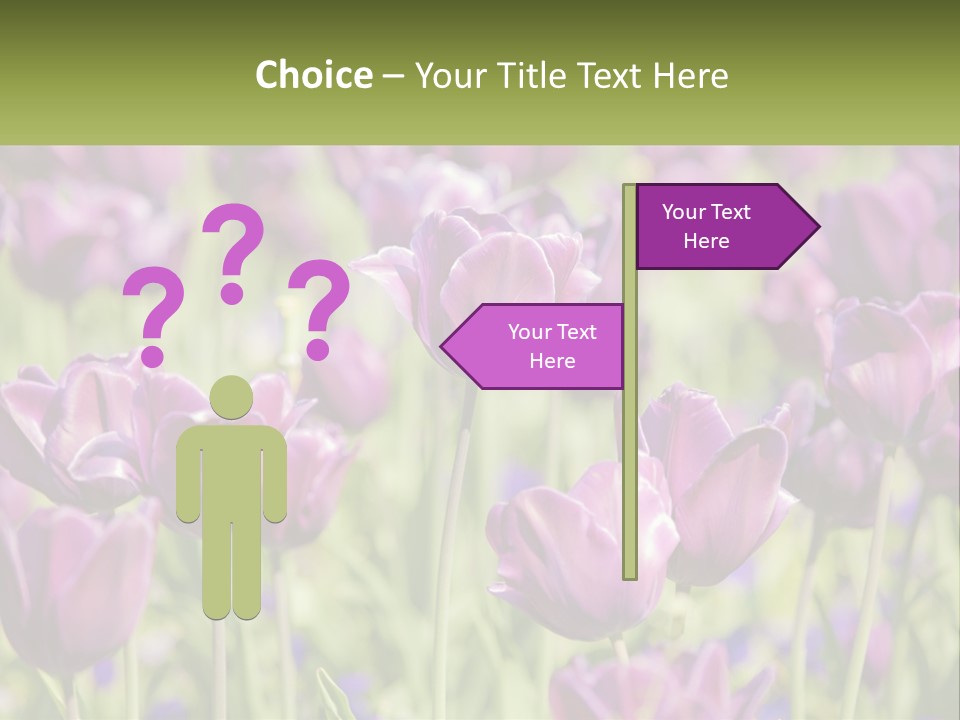 Flower Field Park PowerPoint Template