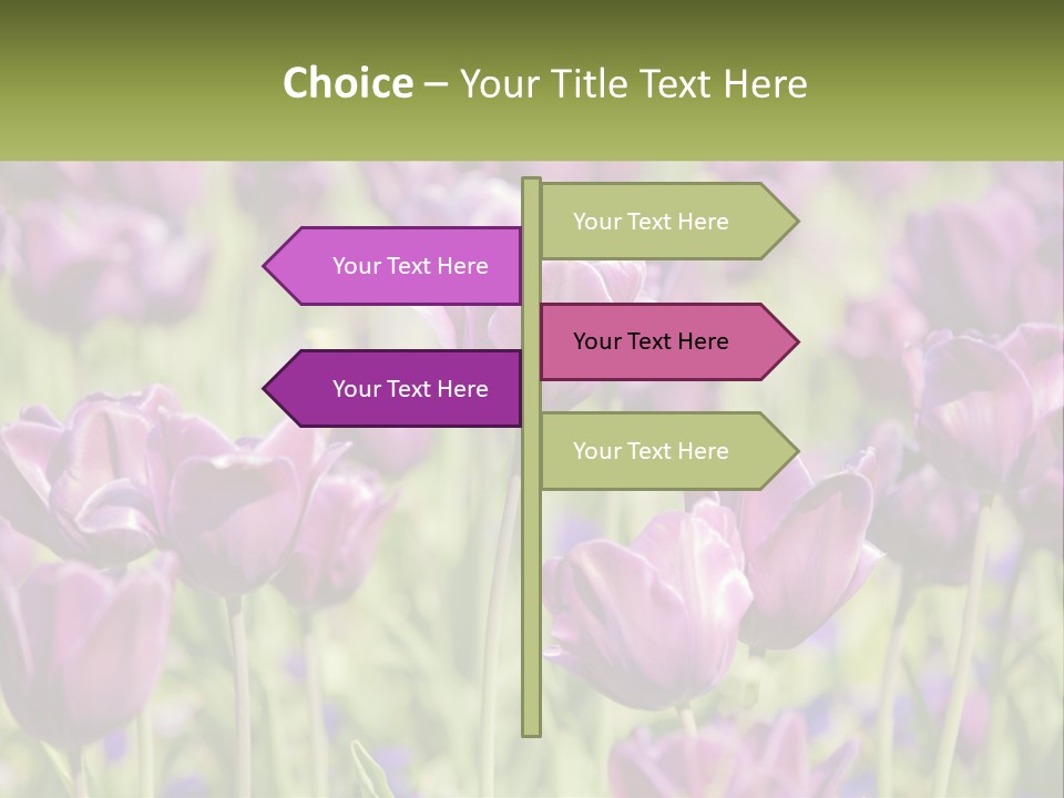 Flower Field Park PowerPoint Template