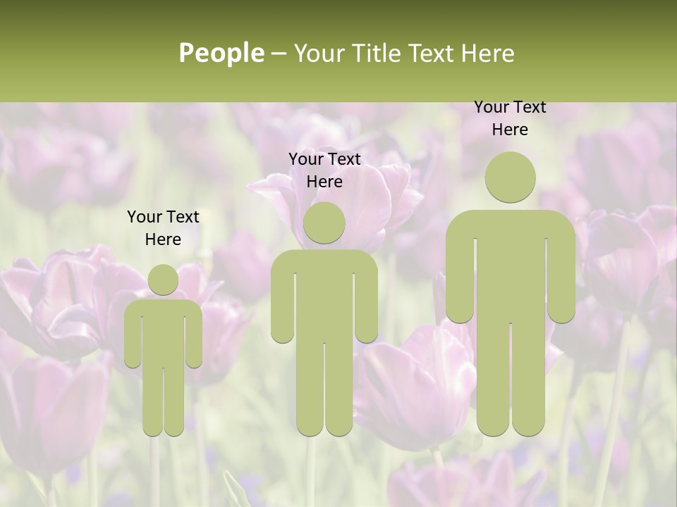 Flower Field Park PowerPoint Template