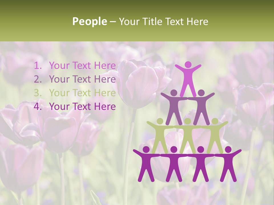 Flower Field Park PowerPoint Template