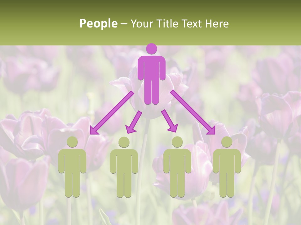 Flower Field Park PowerPoint Template