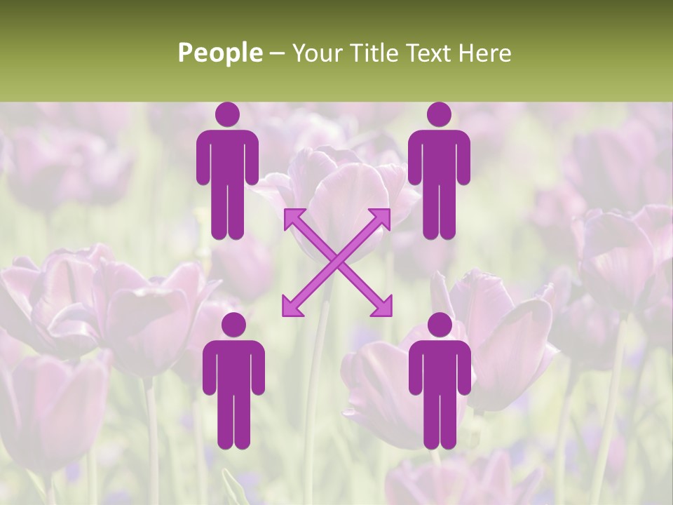 Flower Field Park PowerPoint Template