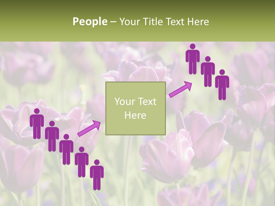 Flower Field Park PowerPoint Template