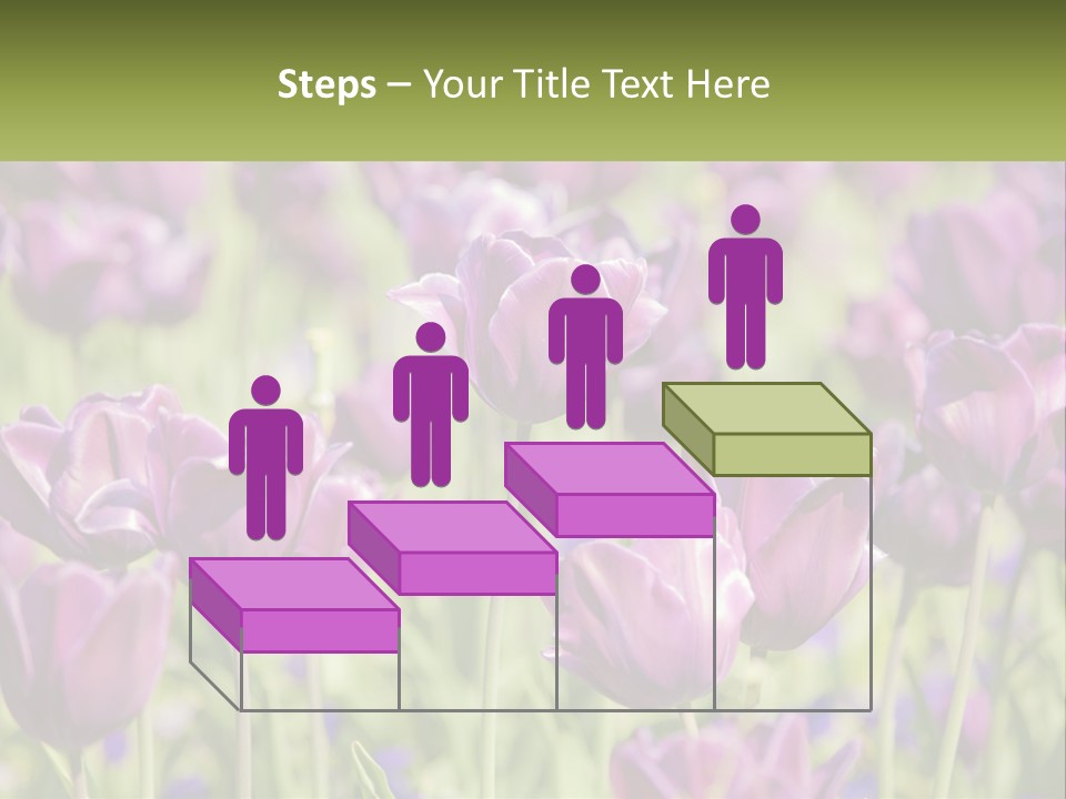 Flower Field Park PowerPoint Template