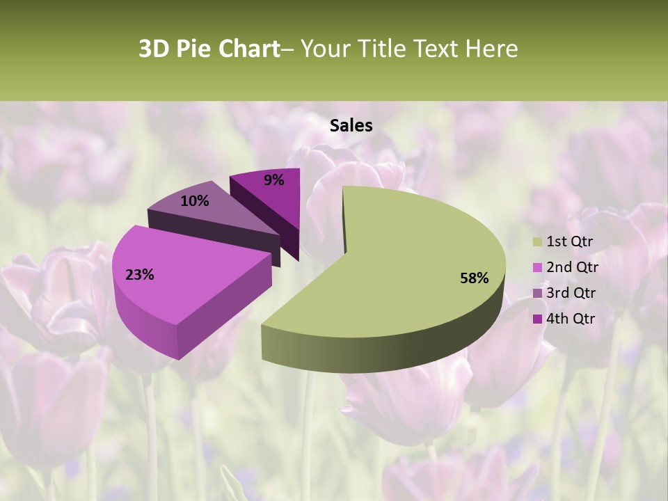Flower Field Park PowerPoint Template