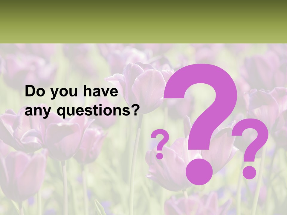 Flower Field Park PowerPoint Template