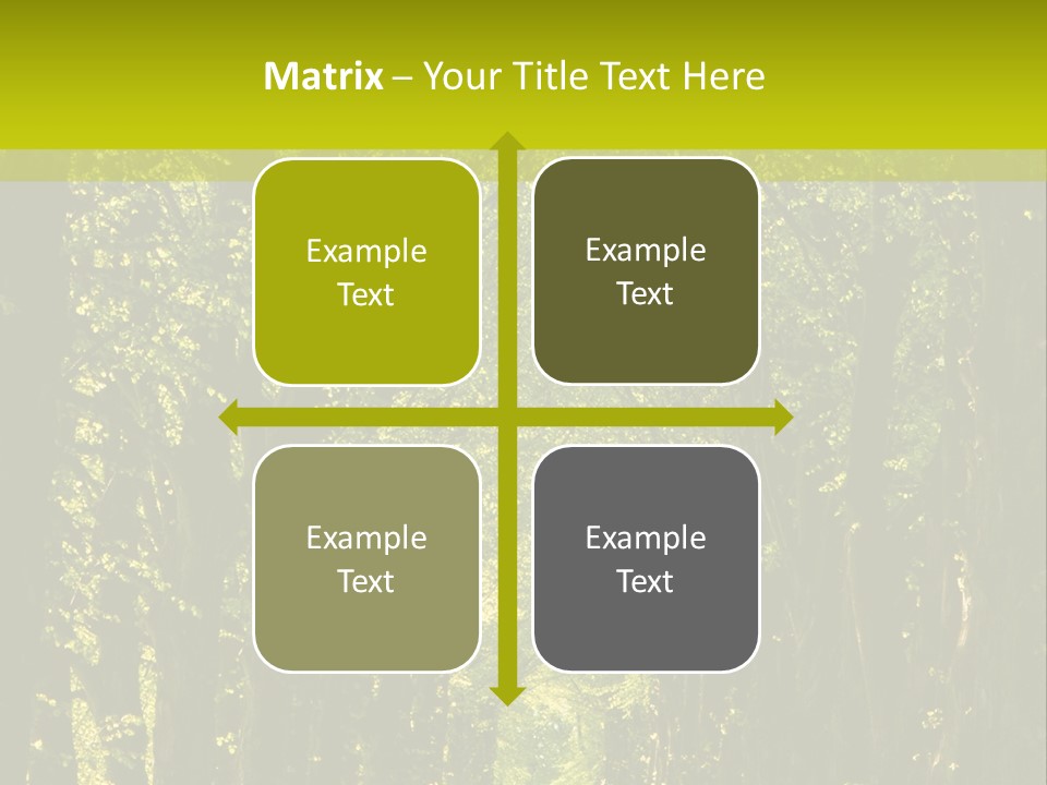 Mystery Beauty Way PowerPoint Template