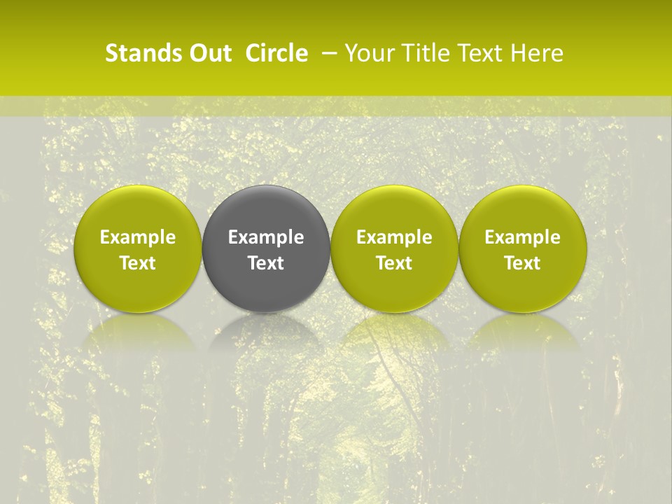 Mystery Beauty Way PowerPoint Template