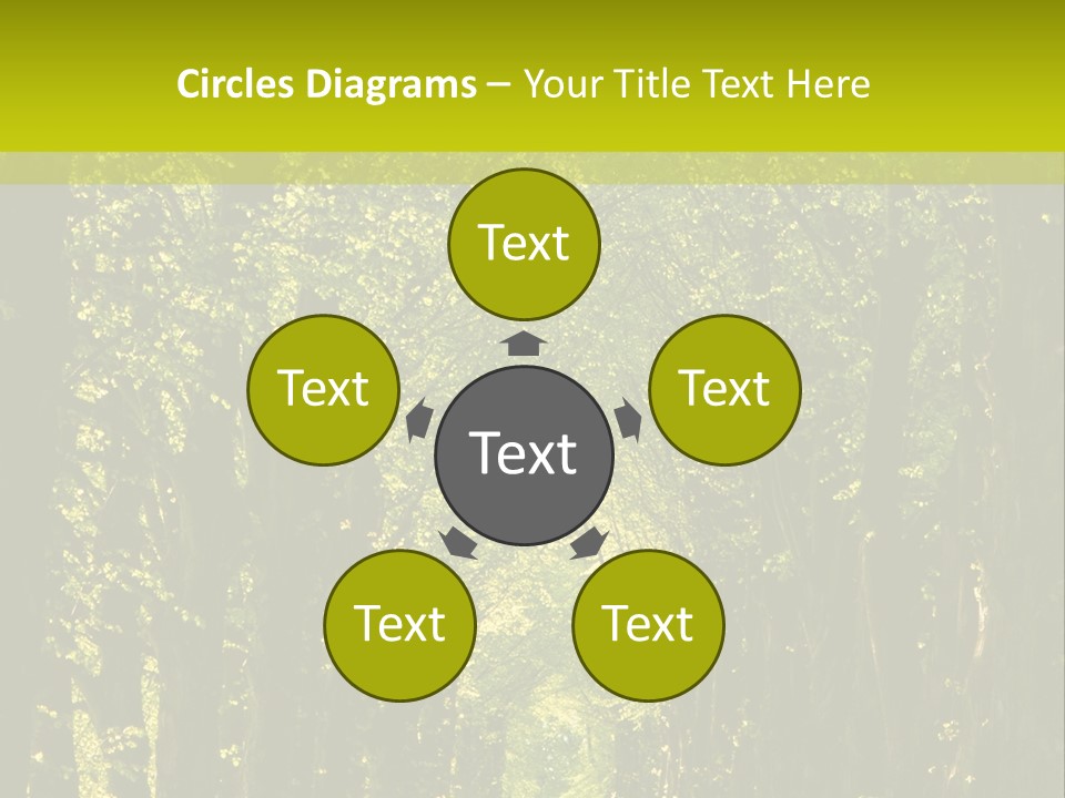 Mystery Beauty Way PowerPoint Template