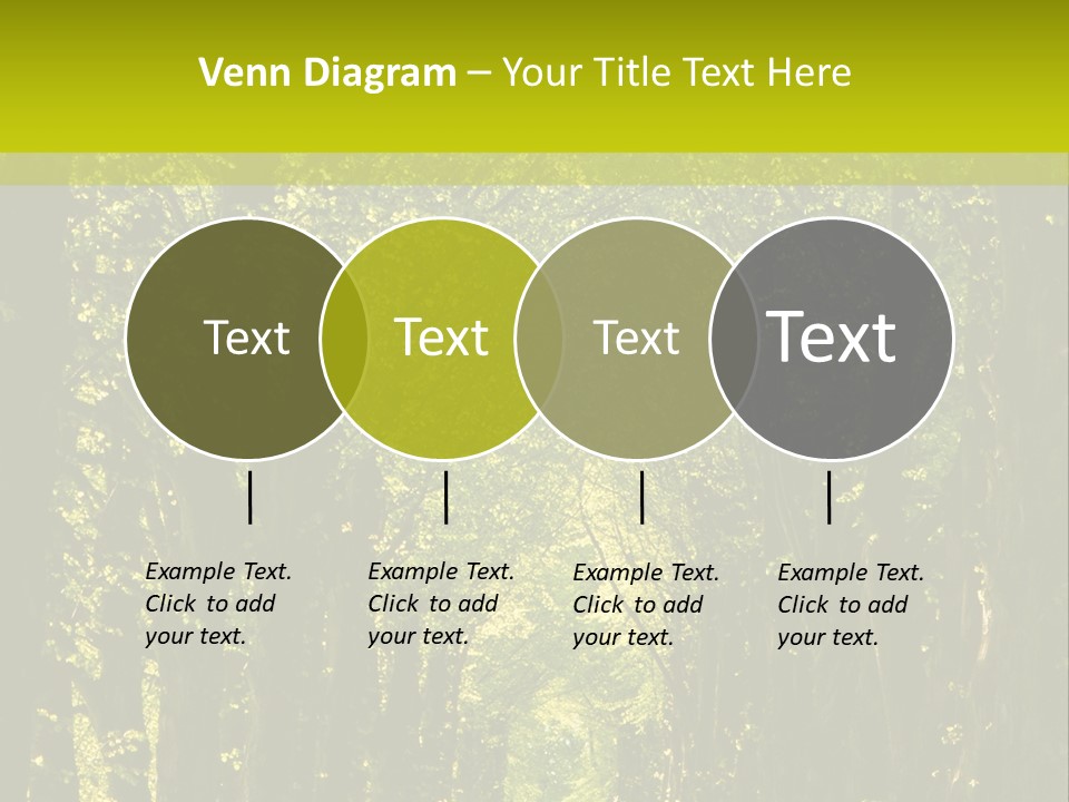 Mystery Beauty Way PowerPoint Template