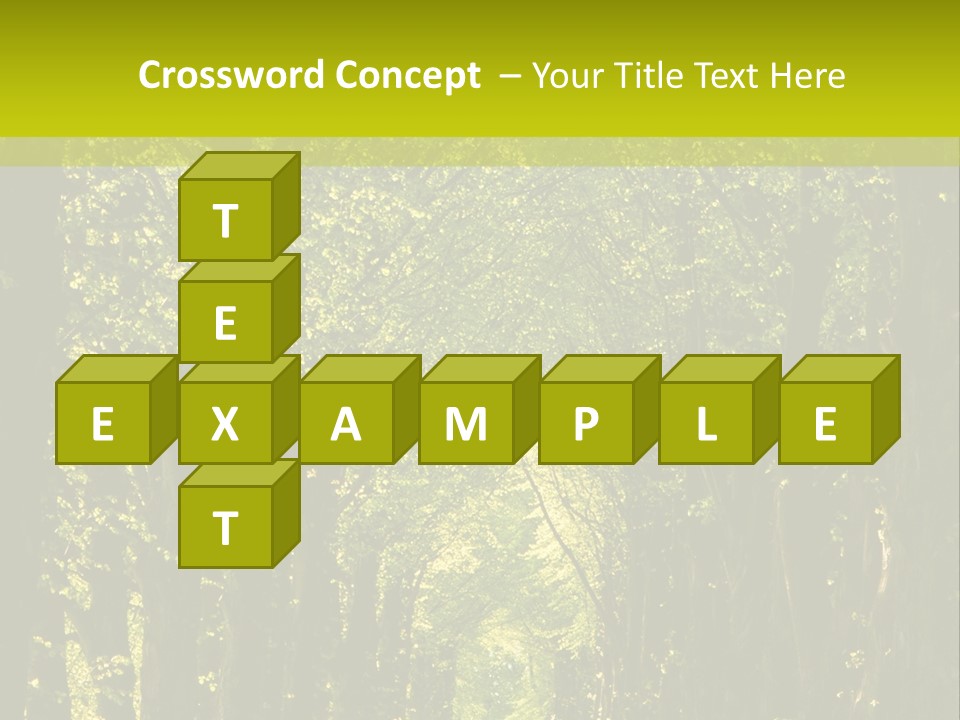 Mystery Beauty Way PowerPoint Template