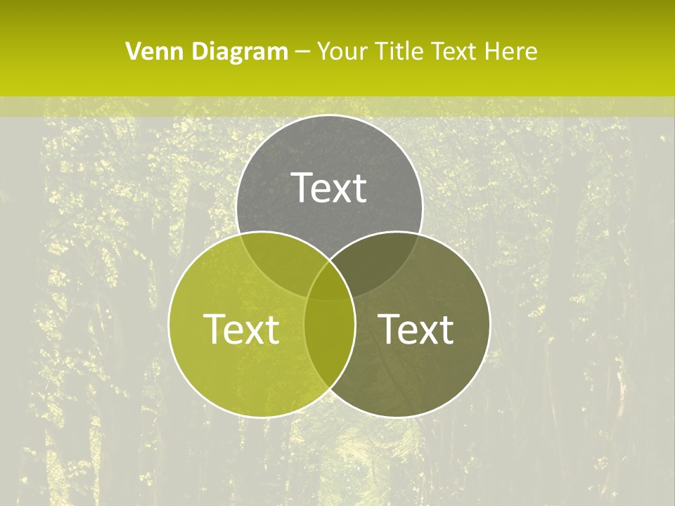 Mystery Beauty Way PowerPoint Template