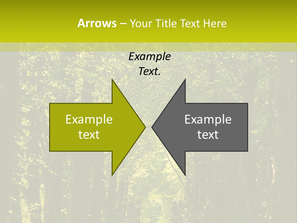 Mystery Beauty Way PowerPoint Template