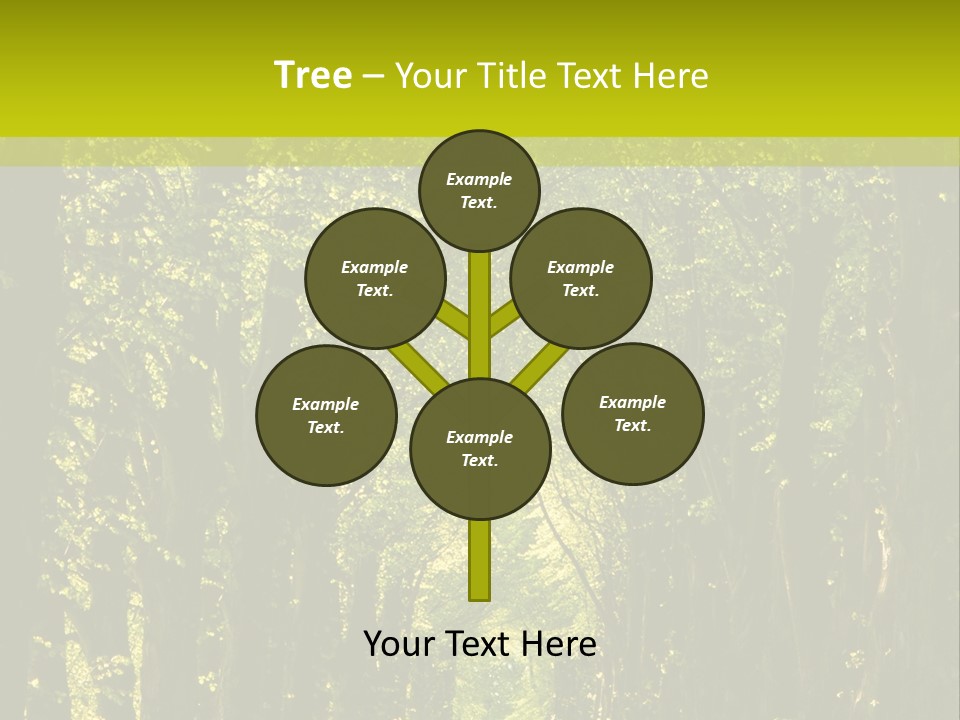 Mystery Beauty Way PowerPoint Template