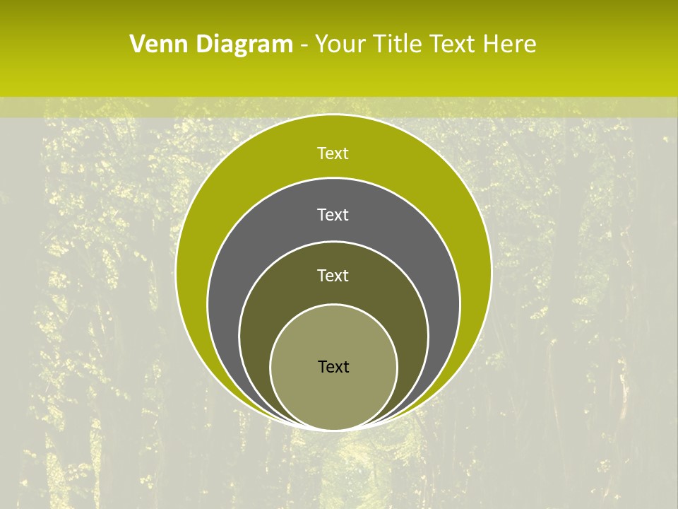 Mystery Beauty Way PowerPoint Template