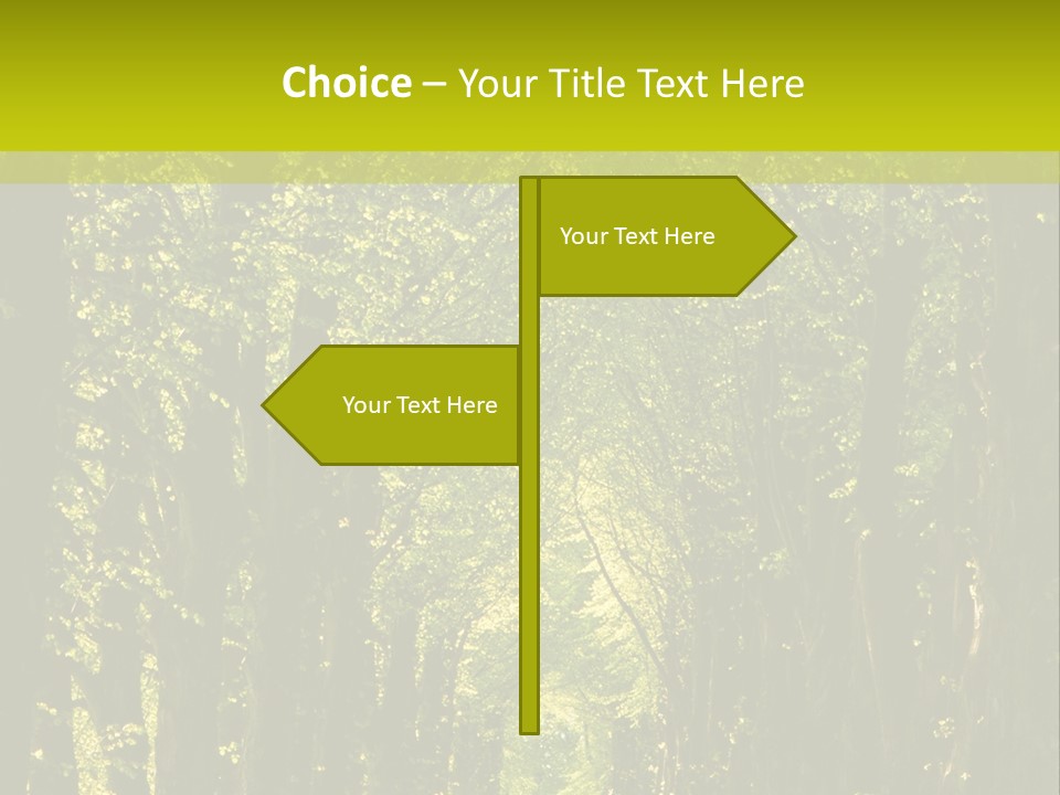 Mystery Beauty Way PowerPoint Template