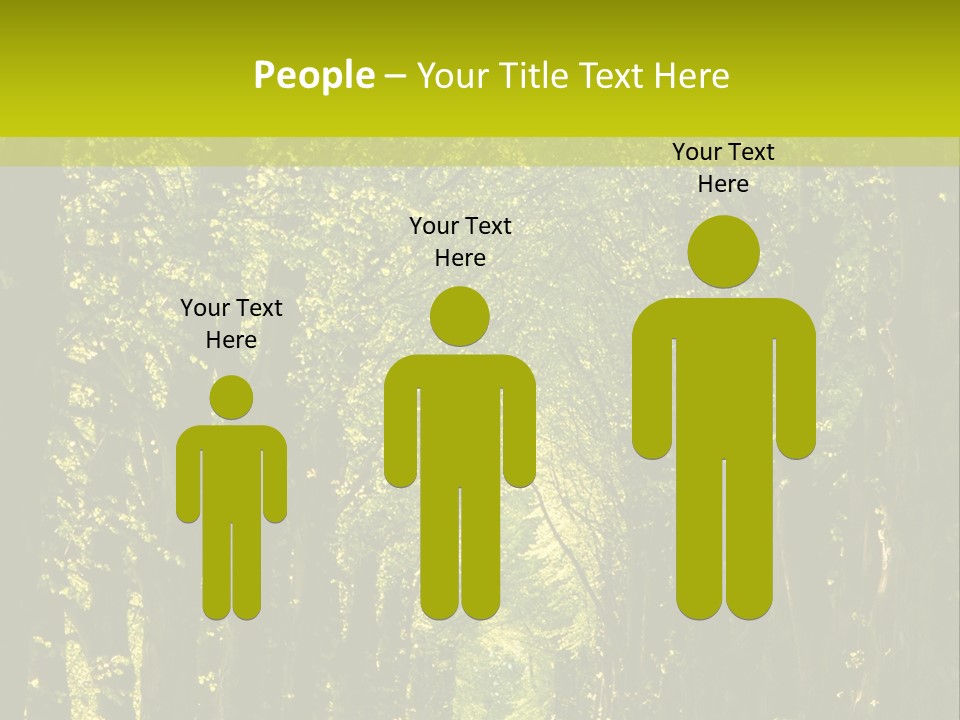 Mystery Beauty Way PowerPoint Template