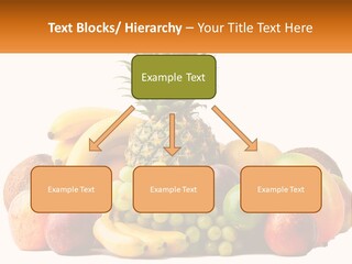 Kiwi Nutrition Vegetarian PowerPoint Template