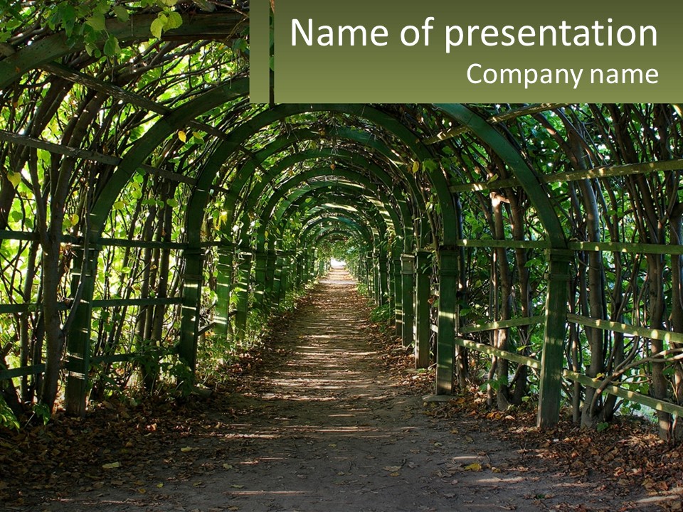 Nature Person Shade PowerPoint Template