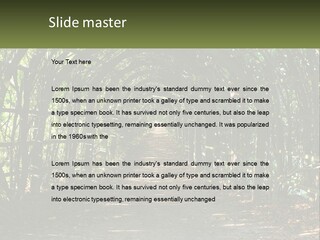 Nature Person Shade PowerPoint Template