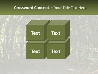 Nature Person Shade PowerPoint Template