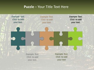 Nature Person Shade PowerPoint Template