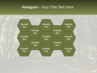 Nature Person Shade PowerPoint Template