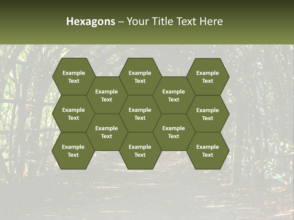 Nature Person Shade PowerPoint Template