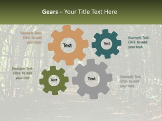 Nature Person Shade PowerPoint Template