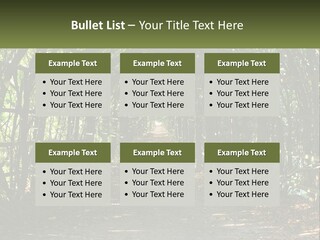 Nature Person Shade PowerPoint Template