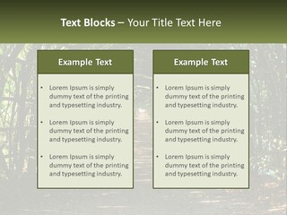 Nature Person Shade PowerPoint Template
