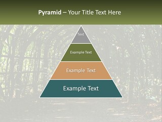 Nature Person Shade PowerPoint Template