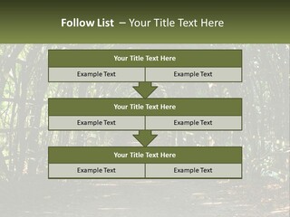 Nature Person Shade PowerPoint Template