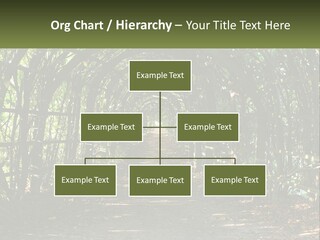 Nature Person Shade PowerPoint Template