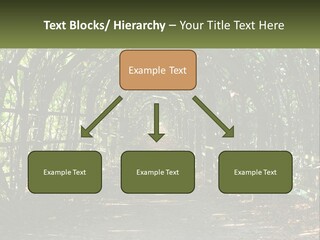 Nature Person Shade PowerPoint Template