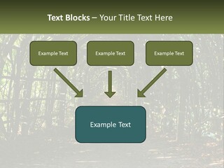 Nature Person Shade PowerPoint Template