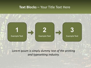 Nature Person Shade PowerPoint Template