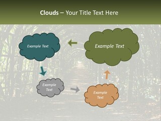 Nature Person Shade PowerPoint Template
