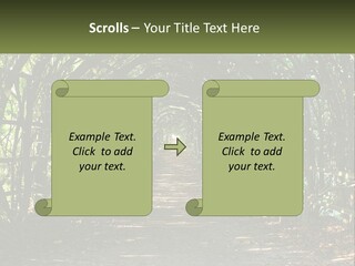Nature Person Shade PowerPoint Template