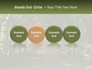 Nature Person Shade PowerPoint Template