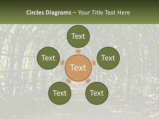 Nature Person Shade PowerPoint Template