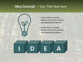 Nature Person Shade PowerPoint Template