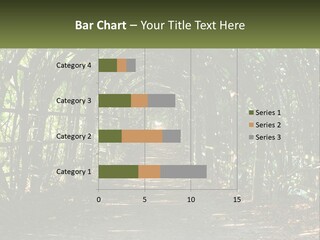 Nature Person Shade PowerPoint Template