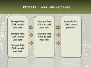 Nature Person Shade PowerPoint Template