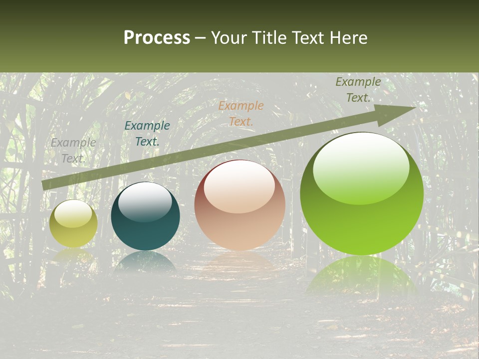 Nature Person Shade PowerPoint Template