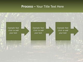 Nature Person Shade PowerPoint Template