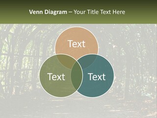 Nature Person Shade PowerPoint Template